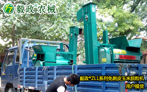 外地客戶來我司提取2臺毅政牌ZL1D型電機(jī)式免剝皮玉米脫粒機(jī)
